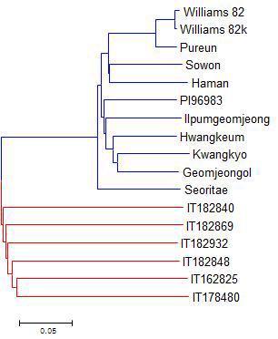 Neighbor-joining phylogenetic tree of soybean nuclear genomes based on all SNPs, with the evolutionary distances measured by p-distance. All branches were supported 100% bootstrap values from 1000 bootstrap replications.