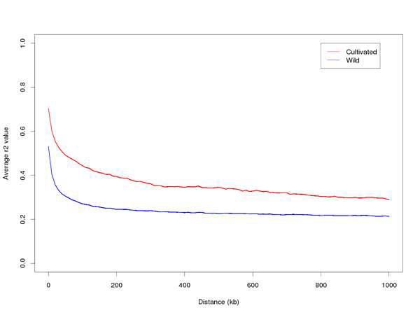 Linkage disequilibrium differences between wild and cultivated soybean groups.