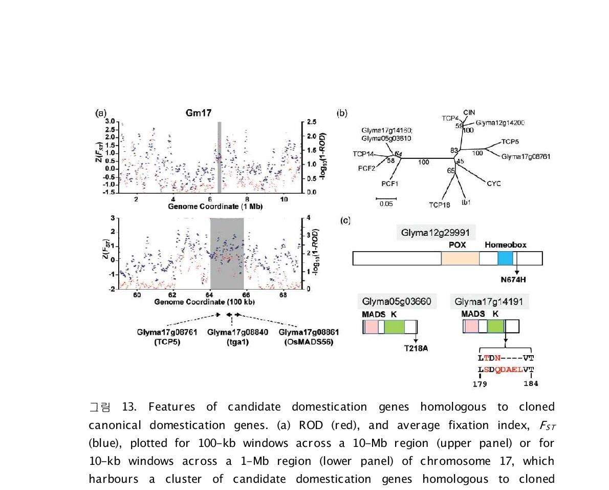 Features of candidate domestication genes homologous to cloned