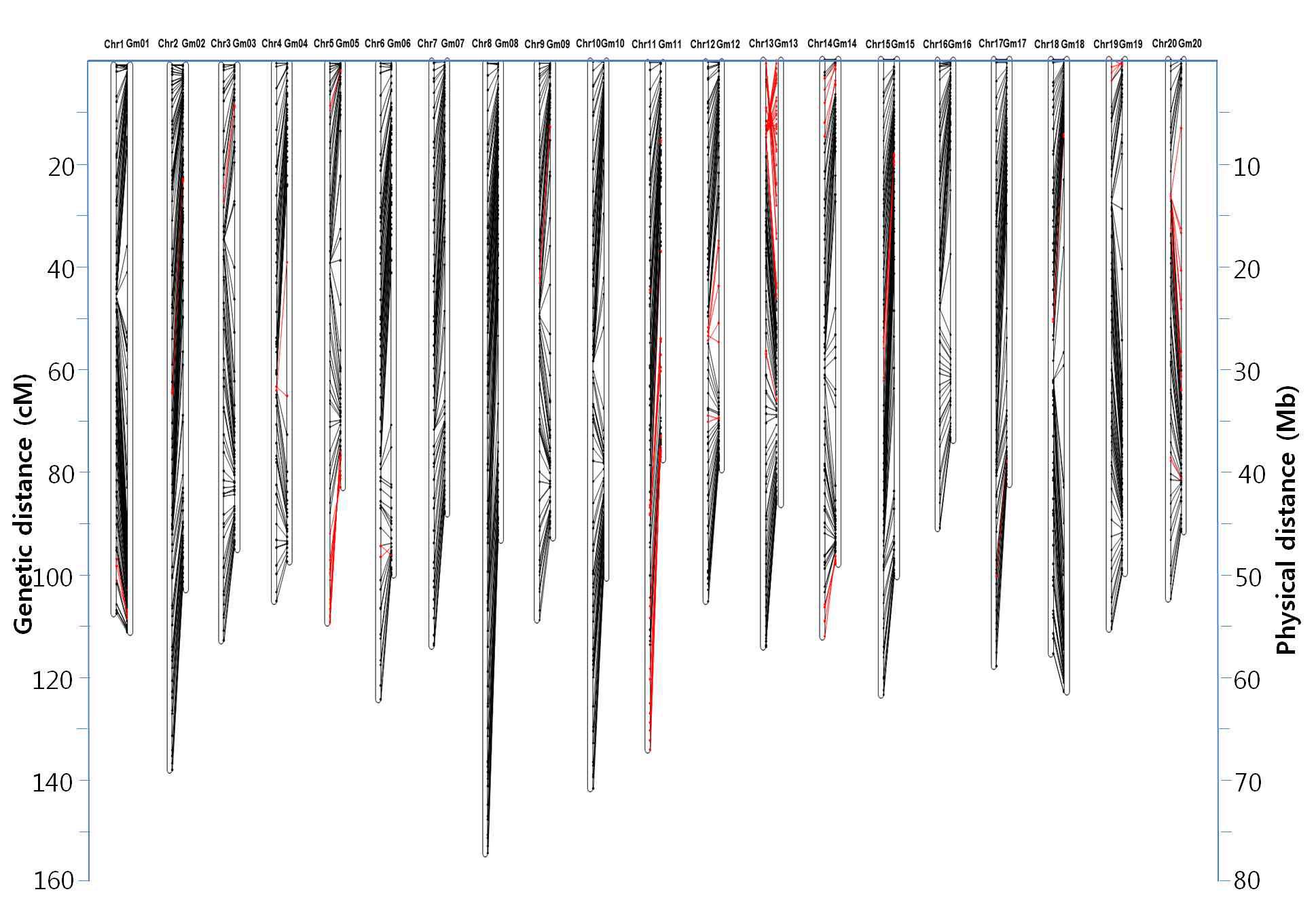 Soybean linkage groups and their alignment to the soybean genome sequence. Linkage group (left)/pseudomolecule (right) pairs are presented for each chromosome. They are oriented such that the start of the bp and map distances (0) is at the top of each chromosome. The location of each marker is indicated by a dot on the genetic map and a dot on the genomic sequence. Corresponding locations for each marker is indicated by a black or red line. The red line indicates marker-order disagreement regions between genetic linkage map and psdueomolecule. The scale for the linkage groups (cM) is on the left and the scale for the genomic sequence (Mb) is on the right. Note that recombination rate is not uniform across the chromosome with higher recombination rates at the distal ends and lower in the central centromeric region.