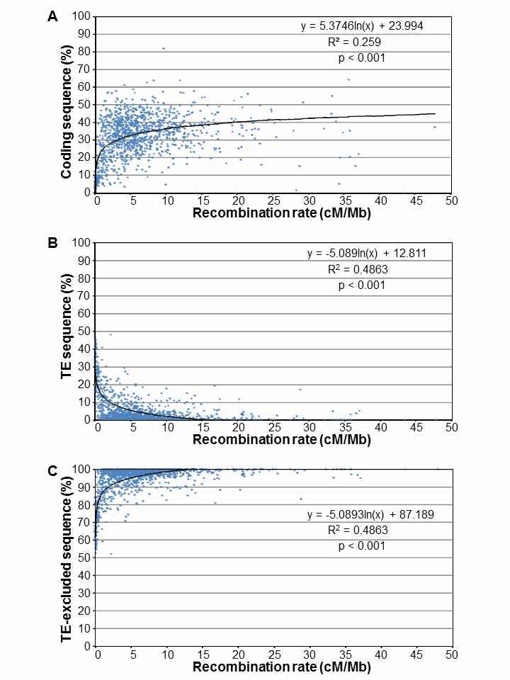 Correlation of genome features with recombination rates. The percentages of coding sequence (A), transposable element (TE) sequence (B), and TE-excluded sequence (C) contained in each interval was calculated and plotted against the recombination rate (cM/Mb). A logarithmic model was applied to each dataset and the correlation coefficient calculated.