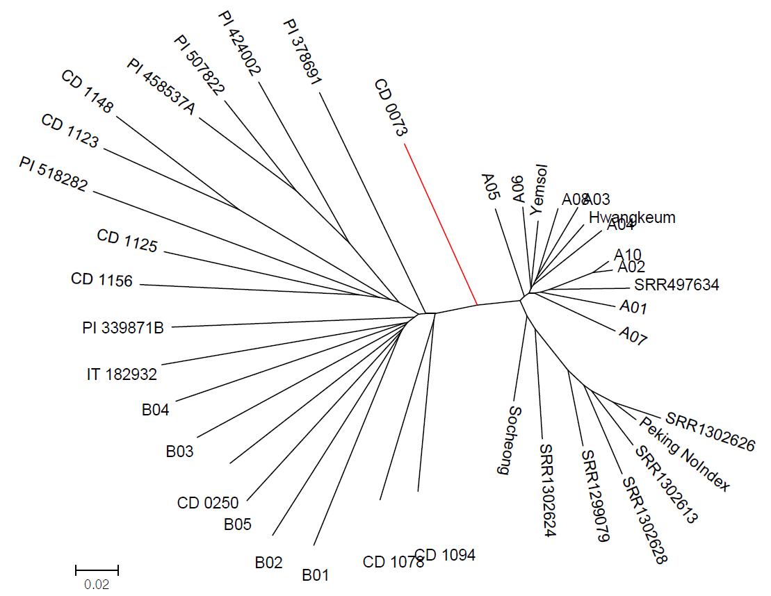 Neighbor-joining phylogenetic tree of 39 soybean nuclear genomes based on all SNPs, with the evolutionary distances measured by p-distance. Natural hybrid CD0073 is indicated by a red branch.