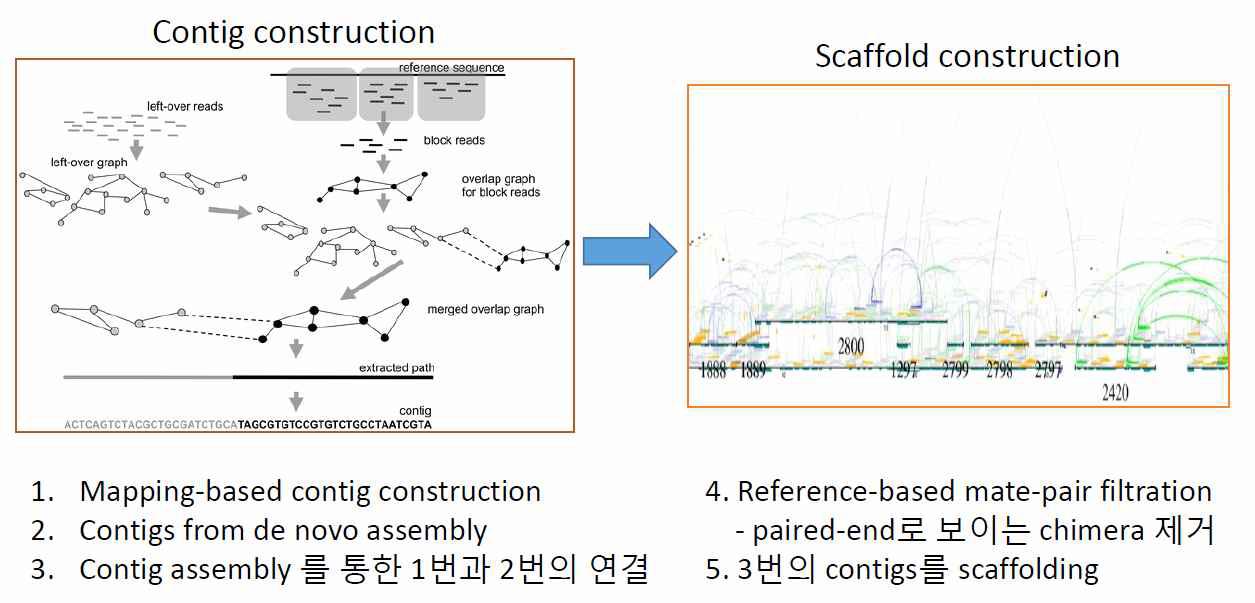 Hybrid reference-guided assembly 개념도