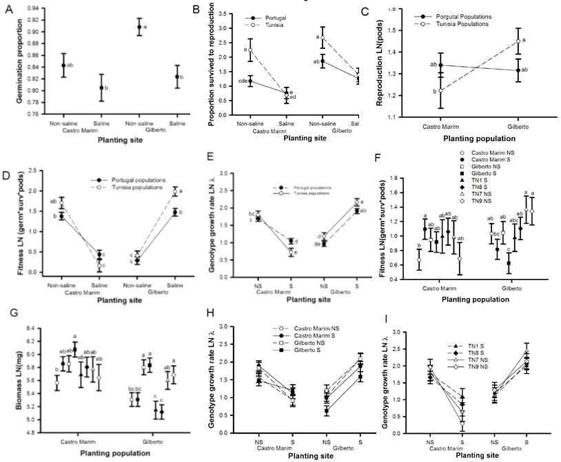 염민감성/적응형 메디카고의 교차이식 (reciprocal transplanting) 테스트