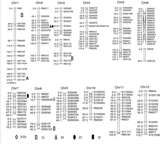 다산/TR22183 QTL map