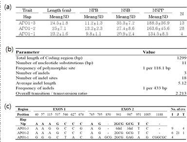 APO1의 변이다양성과 haplotype