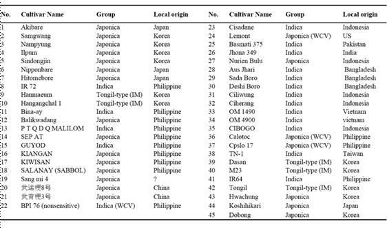 연구에서 사용된 품종목록. IM은 중간타입, WCV는 광친화성을 의미한다.