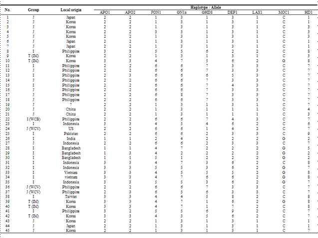 45개 품종들이 지닌 haplotype/allele 들의 조합