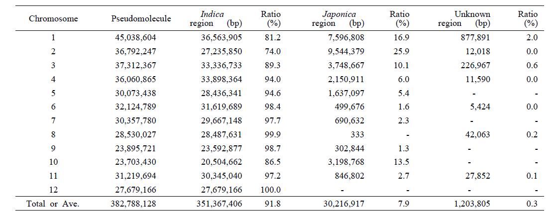 염색체별 통일벼 genome의 indica-japonica genome 비율