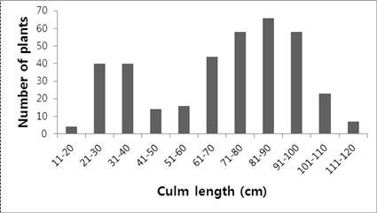 M23과 d13 mutant의 교배 F2에서 나타나는 culm length분포