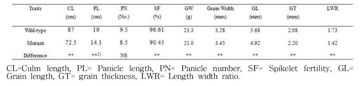 소립돌연변이체와 wild type 화청찰의 농업형질비교