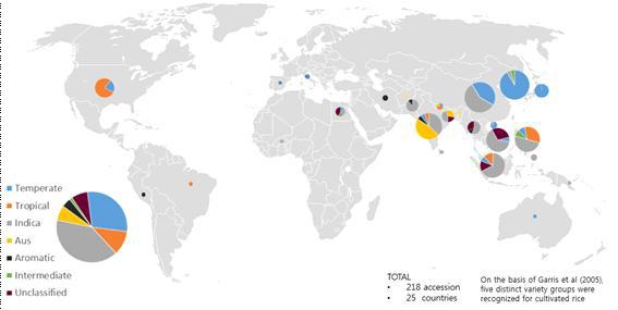 수집한 품종의 대륙별, 아종별 품종 분포도