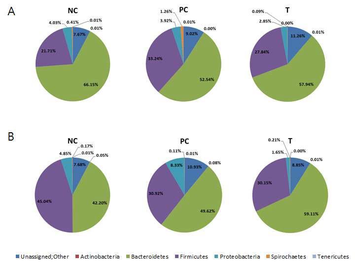 Phylogenetic classification of bacterial pyrosequences at the phylum level. A, Before challenge. B, After 12h challenge.