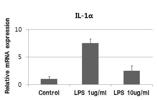 LPS 처리수준에 따른 IPEC-J2 내 IL-1α의 변화