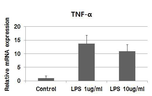 LPS 처리수준에 따른 IPEC-J2 내 TNF-α의 변화