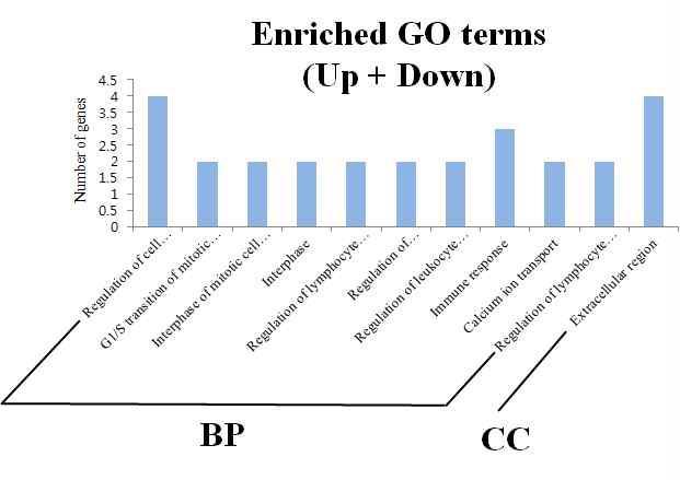 Histogram of gene ontology classification