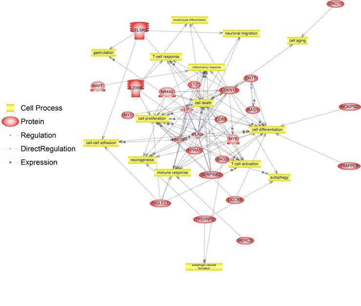 Biological pathway analysis of gene networks between PBMCs from control and PED vaccinated pigs.