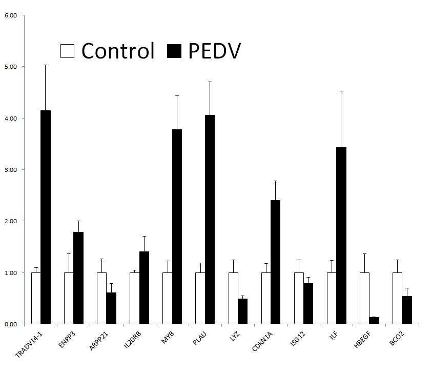 Validation of RNA-sequencing data for 12 specific genes