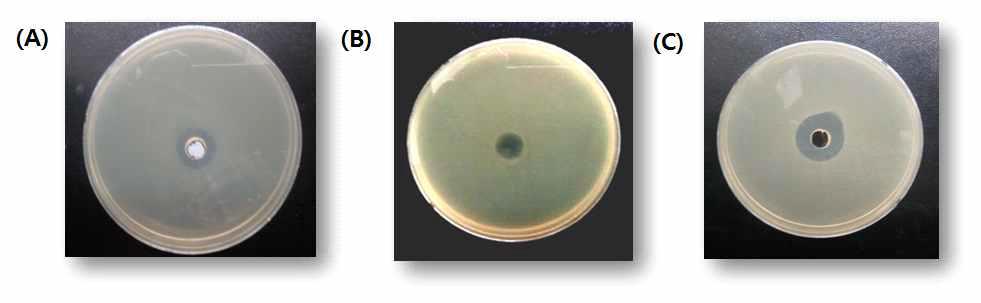 Growth inhibition of indicator strains by PG1230, LCH1227, and PF01 strain, respectively, using the spot-on-lawn method.