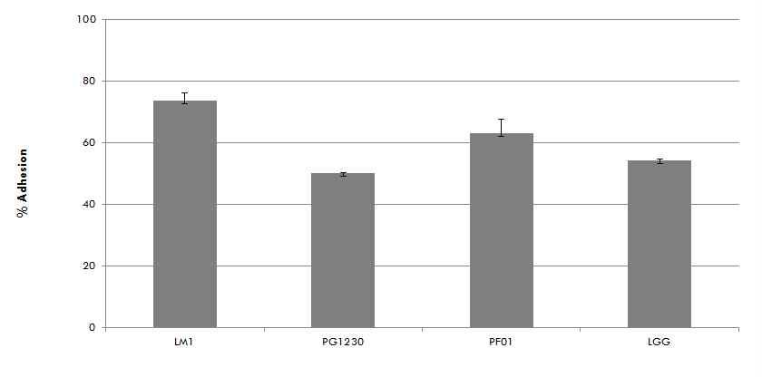 Percent adhesion values of LAB to pig ileal mucin. The relative adhesion of each strain is calculated from the CFU values before and after the adhesion assay. Error bars represent standard deviation of all trials.