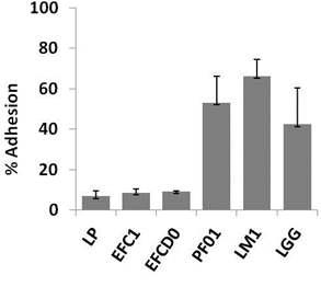 Microbial Adhesion to Solvents (MATS) test of different microbial strains.