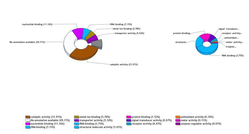 Protein classification of depending on molecular function.