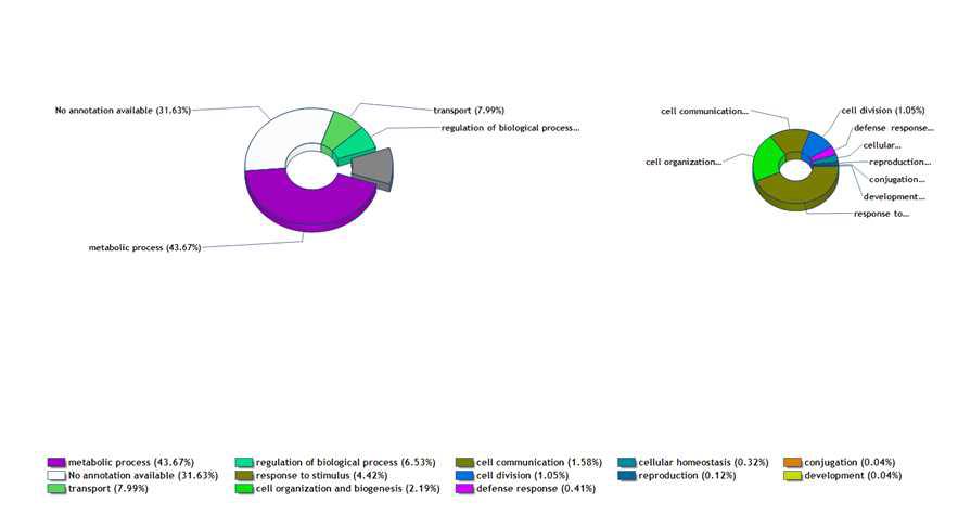 Protein classification by biological process.