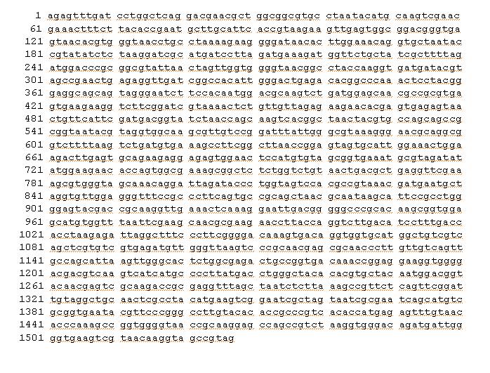 16S rRNA gene sequences of the isolated strain, LPF7