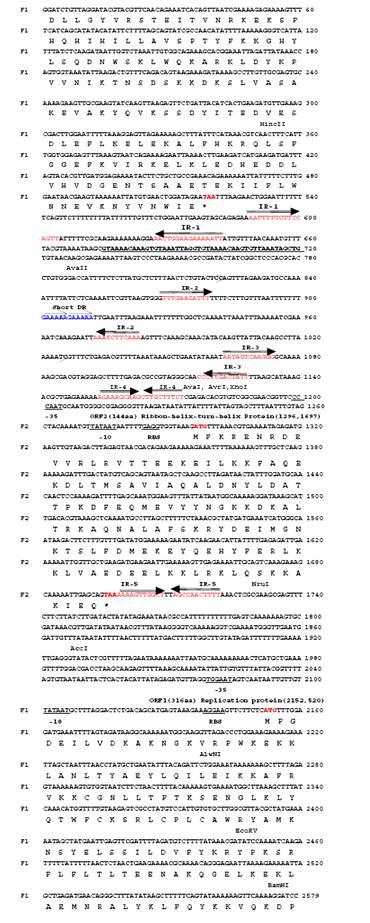 Complete nucleotide sequence of pLPF72 and amino acid sequence of Open Reading Frames(ORFs).