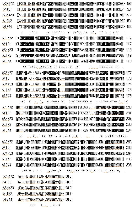 Alignment of the ORF1 of the pLPF72 with the replication proteins from other lactic acid bacterial plasmids.