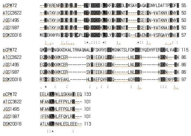 Alignment of the ORF2 of pLPF72 with ribbon helix turn helix protein from Clostridium perfringens and Lactobacillus reuteri. The protein sequences were aligned using clustal W program.