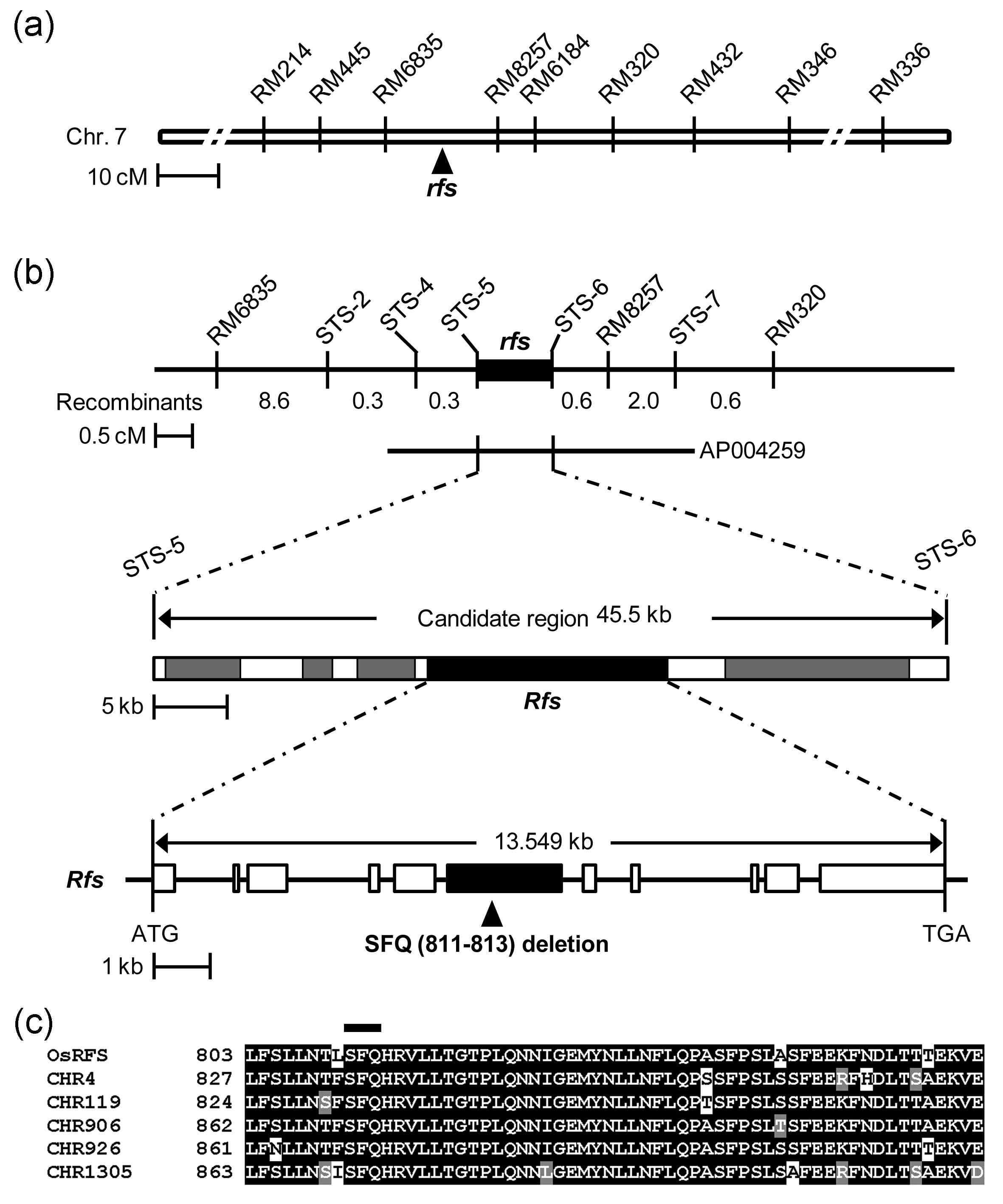 Map-based cloning and sequence alignments of the rfs gene.