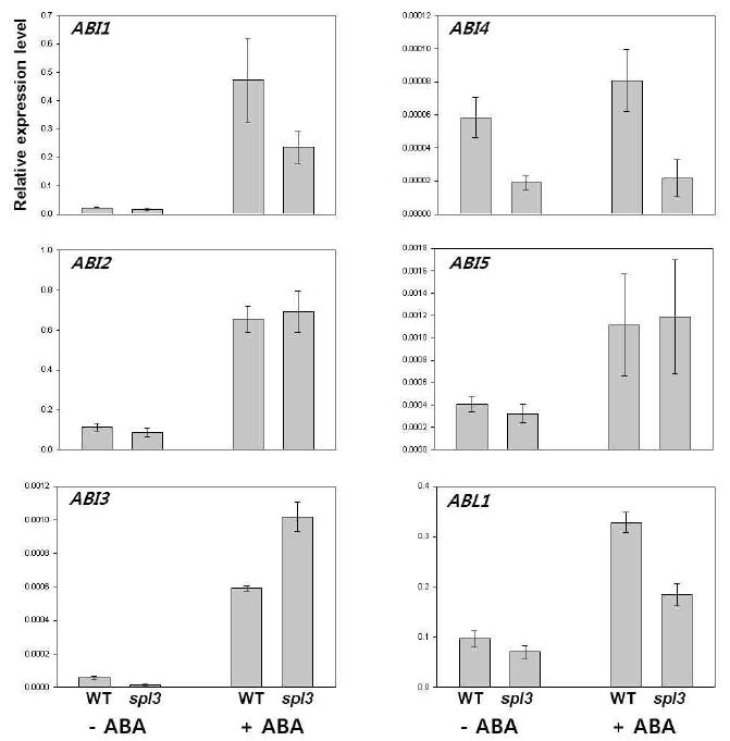 ABA insensitive genes in WT and spl3 mutants.