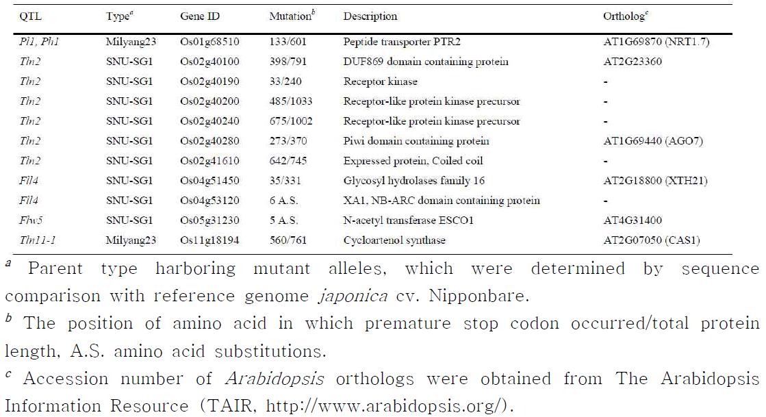 List of 11 strong candidate genes for the main-effect QTLs obtained by sequence analysis of whole genome re-sequencing data for the two parent cultivars, Milyang23 (indica) and SNU-SG1 (japonica).