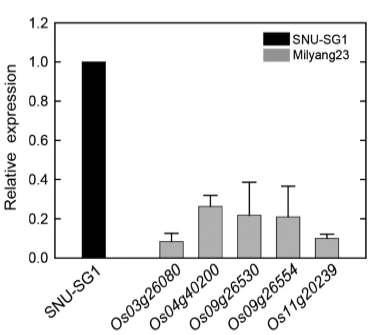 Expression profiles of the strong candidate genes identified by meta-expression profile analysis.