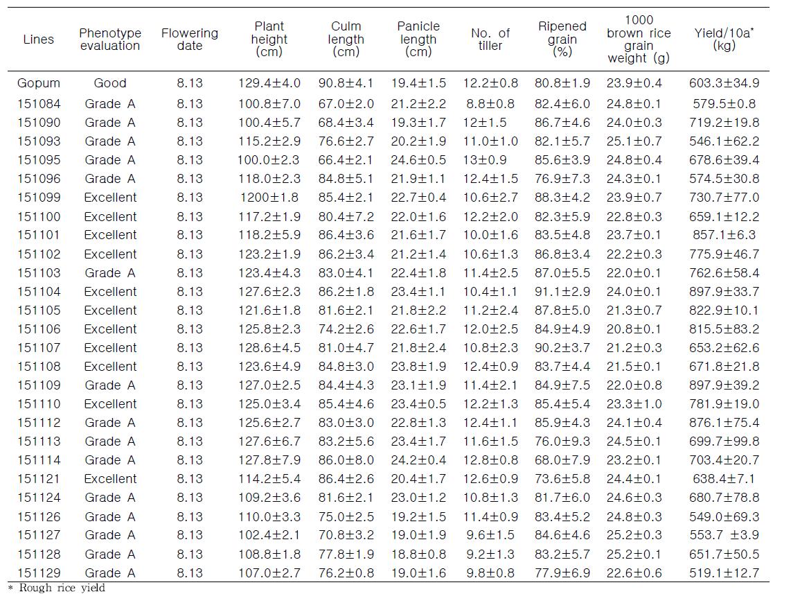 Agronomic traits of wild type and 26 transgenic T4 lines.