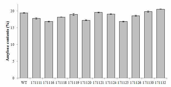 Amylose contents of wild type and 11 transgenic plants.