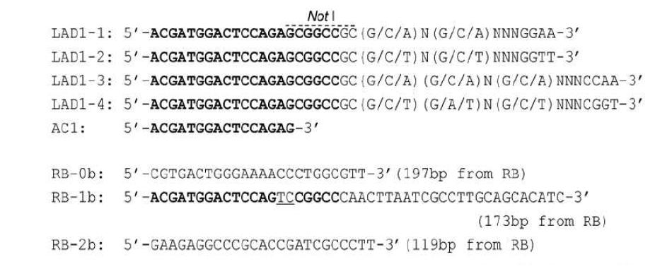 Primers used for high-efficiency thermal asymmetric interlaced PCR (hiTAIL-PCR) (Lie et al, 2007).