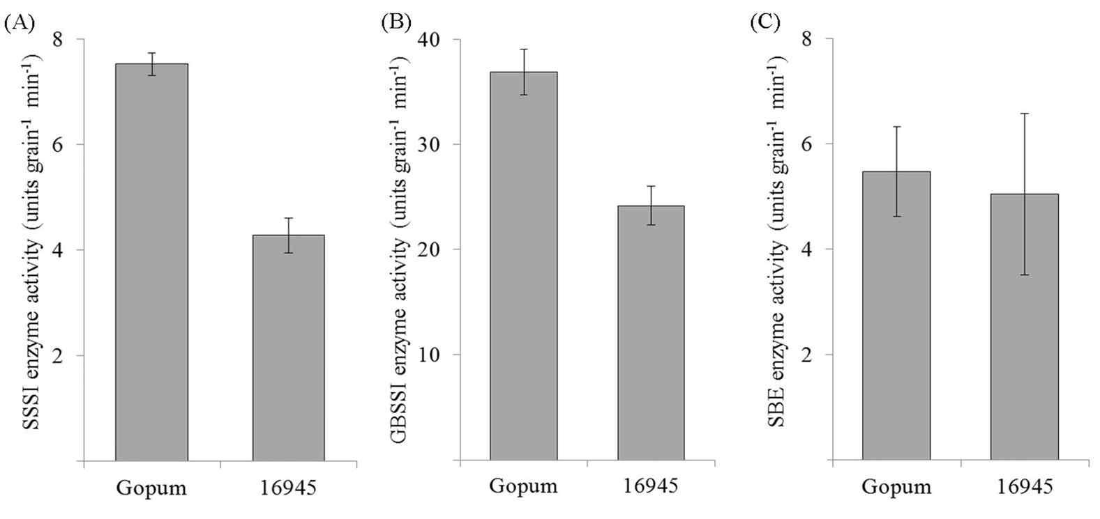 Enzyme activities of SSSI, GBSSI and SBE related to amylose biosynthesis in RNAi-SSSI transgenic rice seeds. Grain samples were collected at 22 days after flowering to mRNA expression analysis.