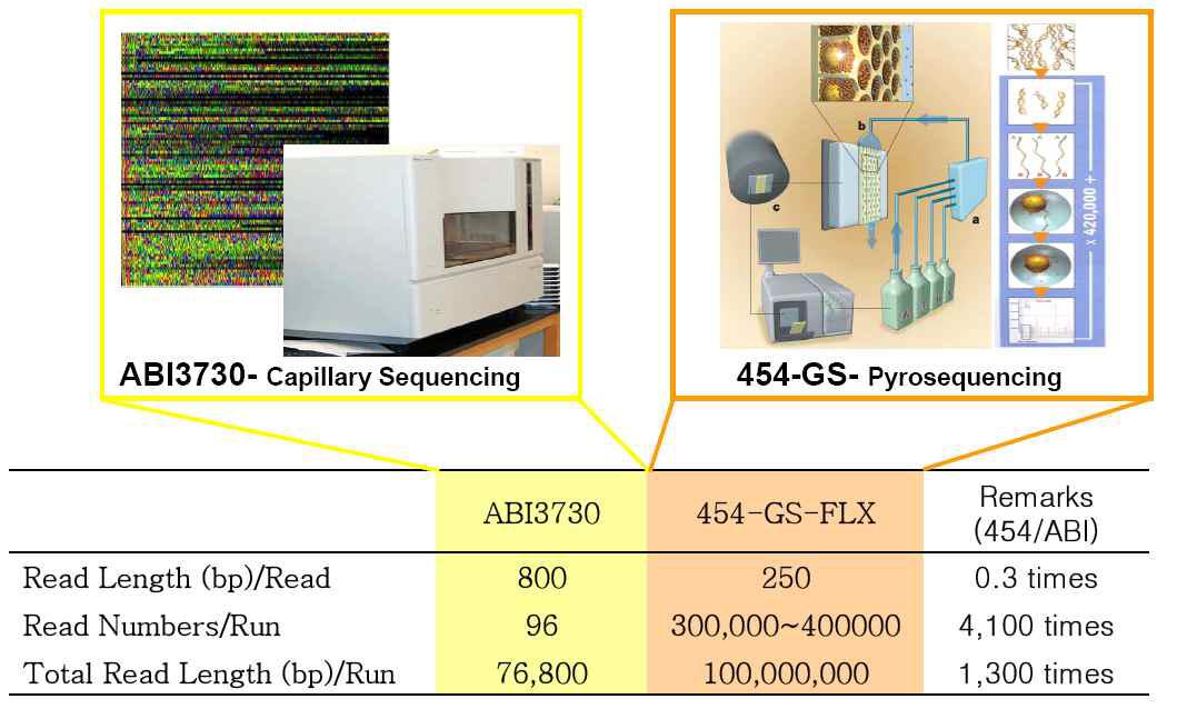ABI3730 및 Roche GS FLX pyrosequencing 염기서열 분석장치 비교