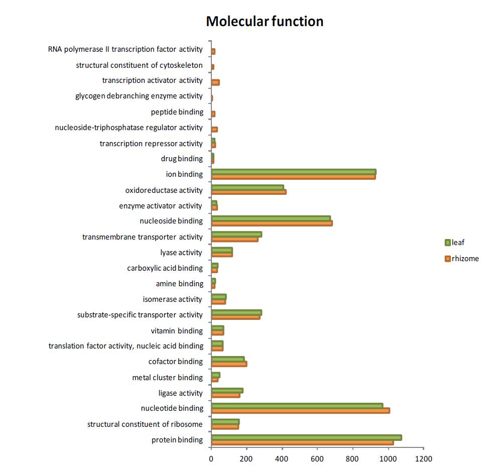 조직별 GO annotation의 molecular function category 분포