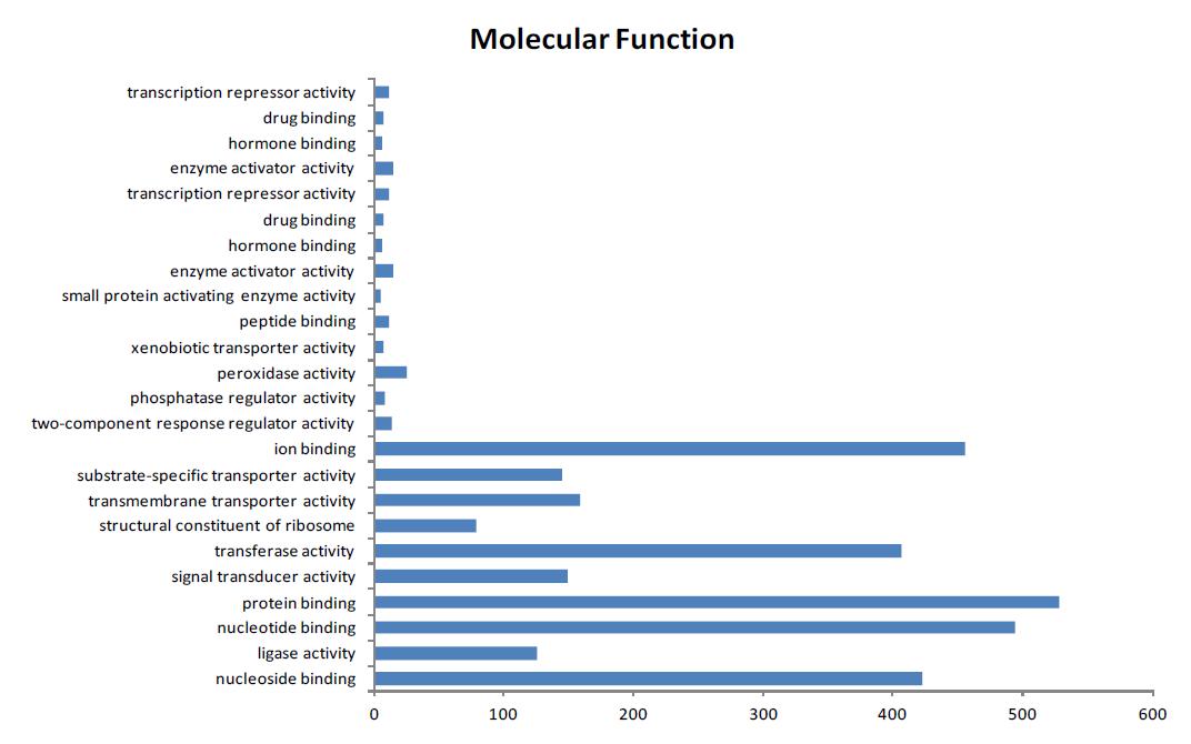 물억새의 molecular function category 분포