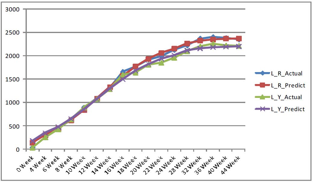 Growth curve estimation of R, Y strain with Von Bertalanffy model.