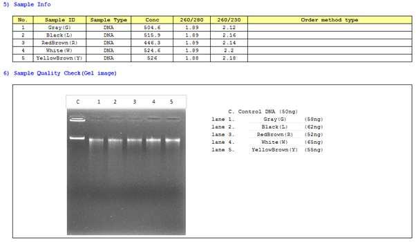 The DNA quality for NGS experiments.