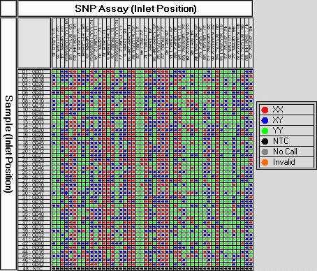 Heatmap result of SNP assay genotyping