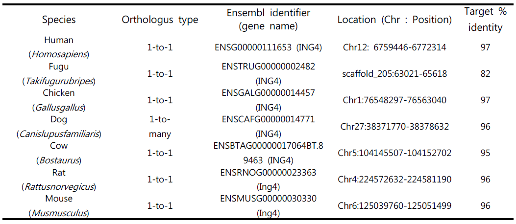 Results of orthology analysis of the ING4 gene across the species.