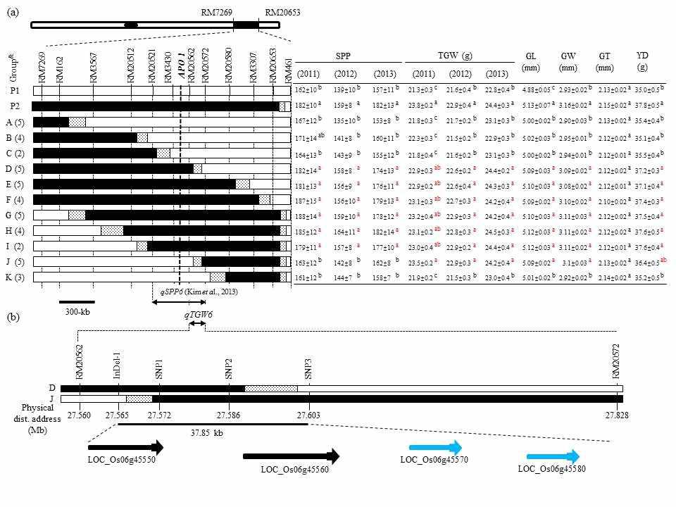 Graphical representation of F3:4:5 lines and a fine scale map of the target region on chromosome 6.