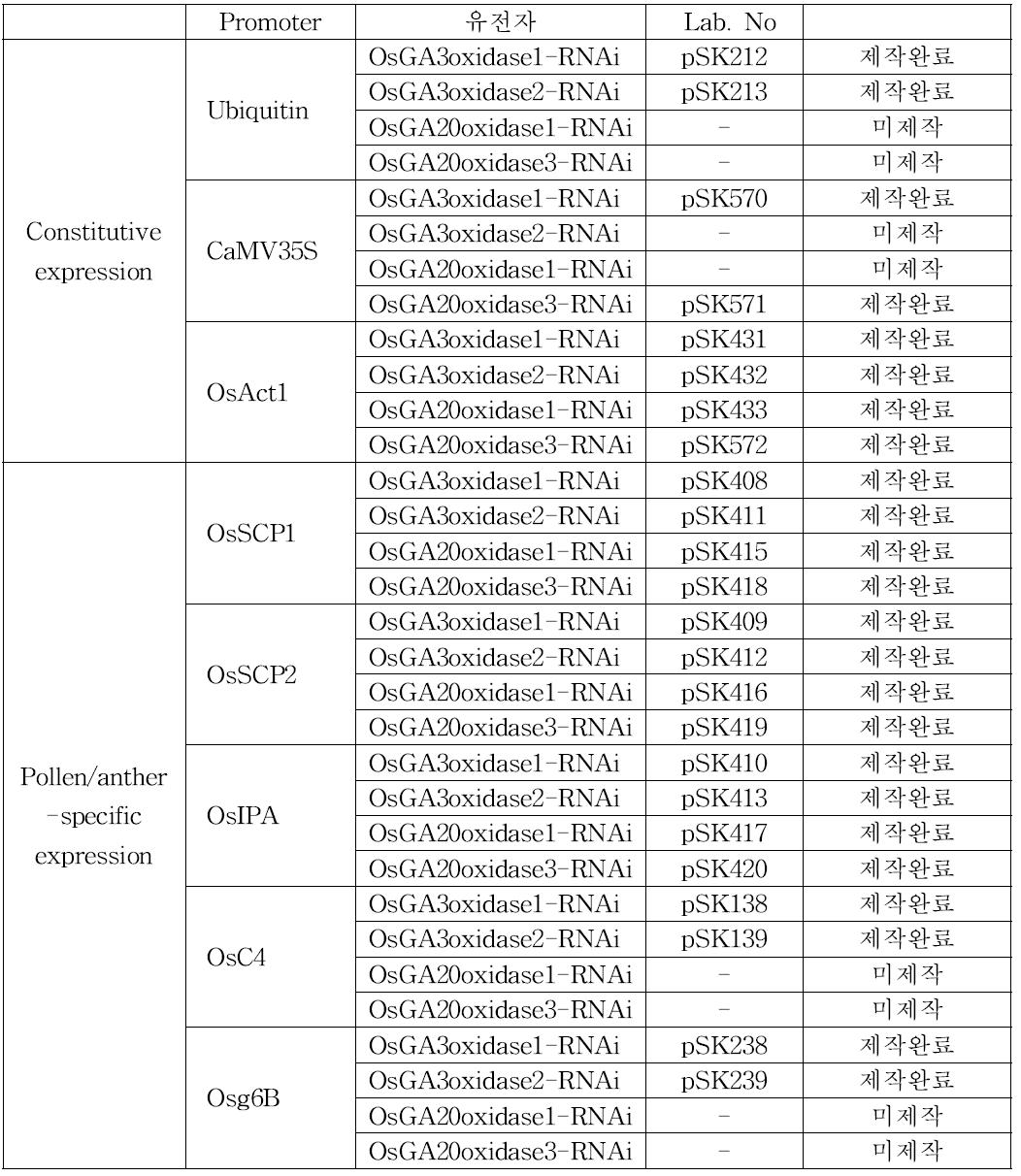 벼 약/화기조직에서의 GA생합성 저해용으로 제작된 vectors