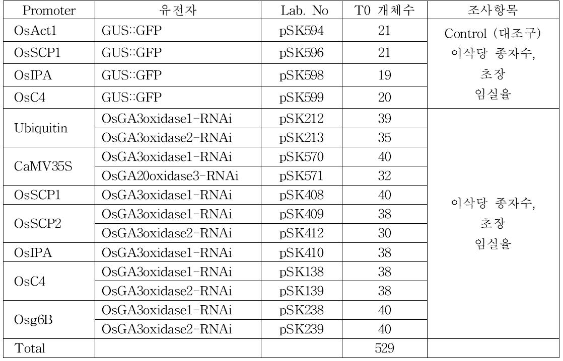 총 16종의 vector를 이용한 벼 형질전환을 통해 육성된 T0 형질전환 개체 의 수 및 특성평가를 위한 조사항목