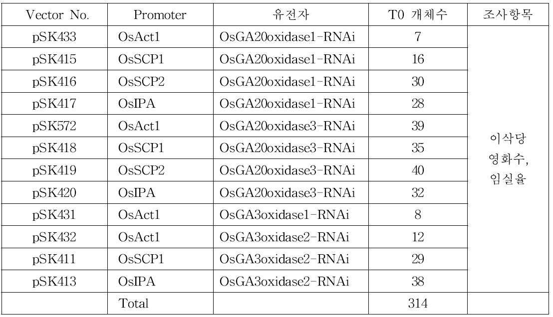 총 12종의 vector를 이용한 벼 형질전환을 통해 육성된 T0 형질전환 개체 의 수 및 특성평가를 위한 조사항목